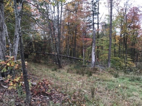 0 Fairview Road Ripley, WV 25271 - Photo 4 of 19 Gallery Image 4