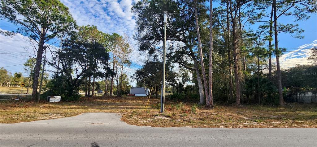 31444 Highway 44 Eustis, FL 32736 - Photo 2 of 6 a view of road with trees