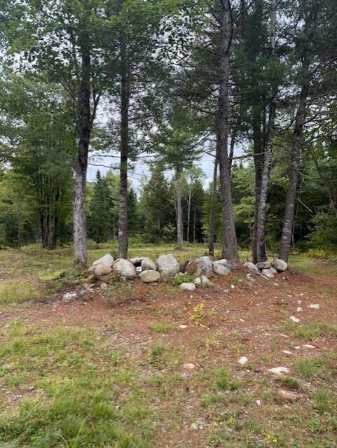 Tbd Woodville Road Lincoln, ME 04457 - Photo 11 of 13 thumbnail_IMG_4365