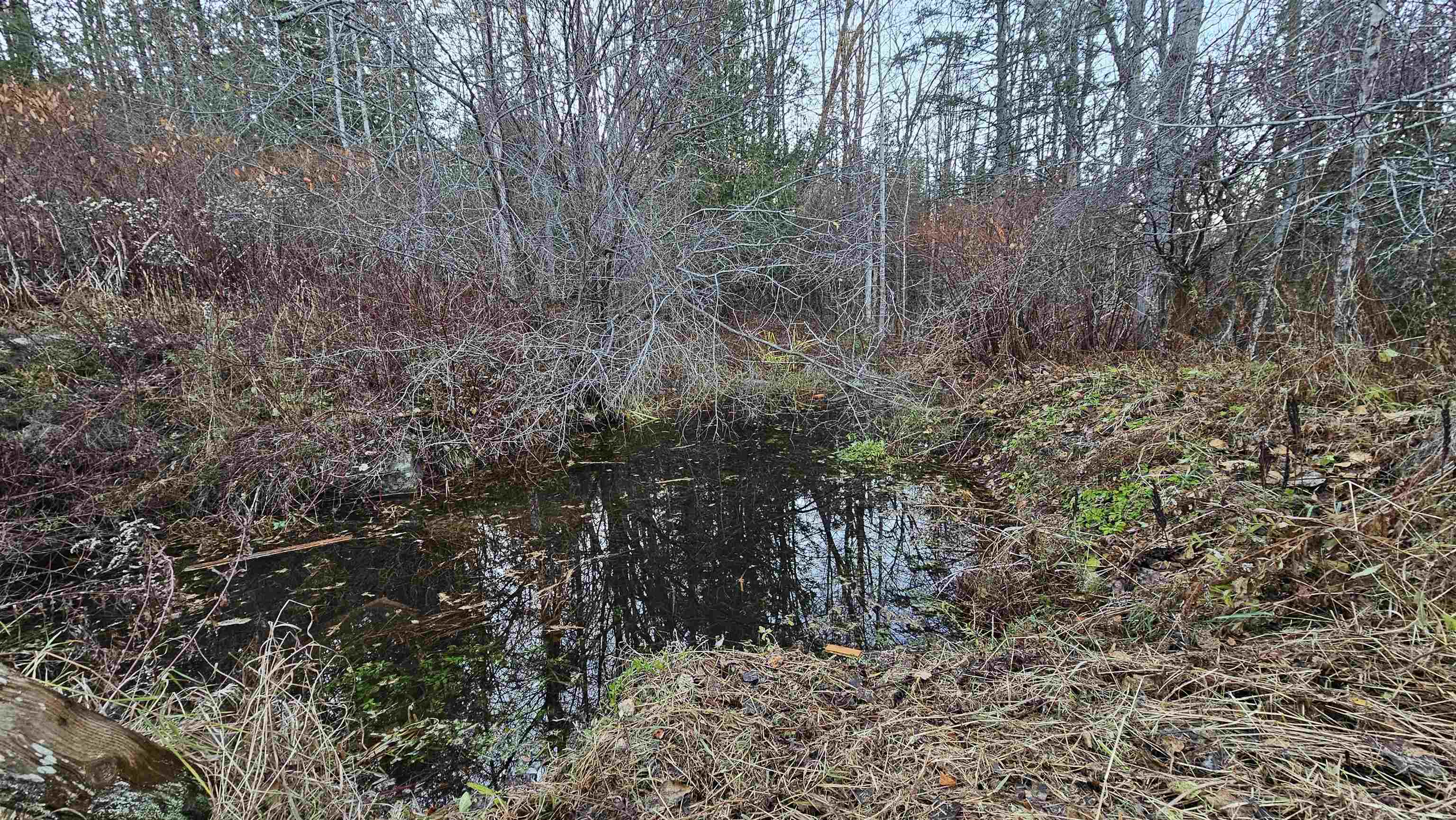 114 Quarry Hill Road Glover, VT 05839 - Photo 46 of 50