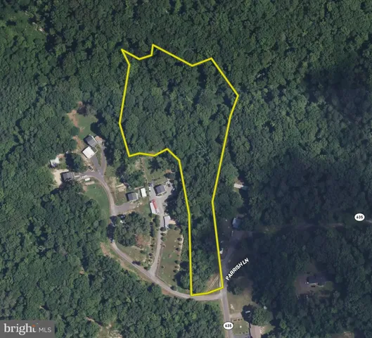 a bird view of swimming pool