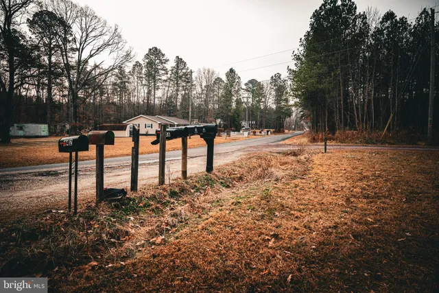 a wooden bench with trees in the background