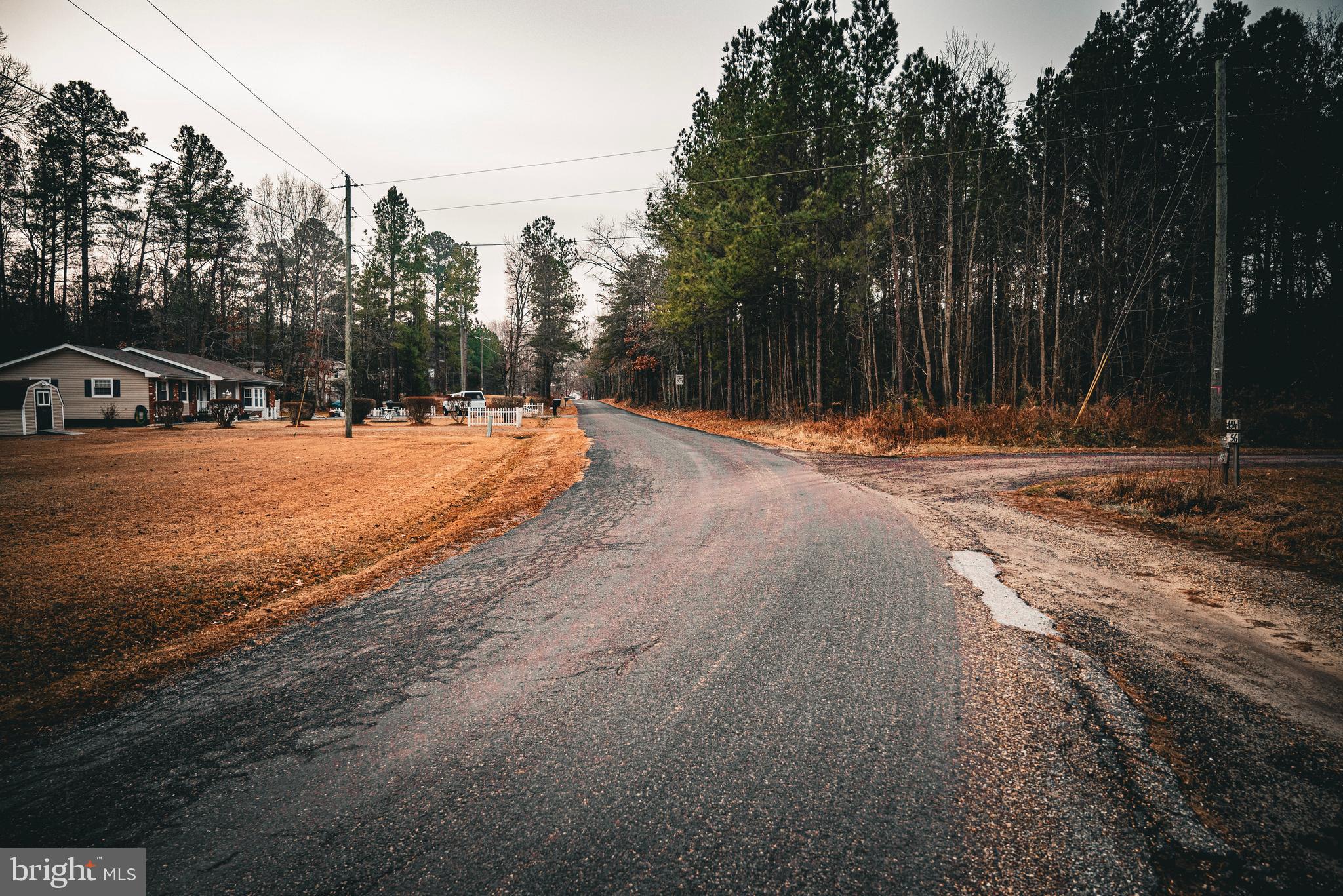 Tbd Parrish Lane Colonial Beach, VA 22443 - Photo 9 of 18 a wooden bench with trees in the background