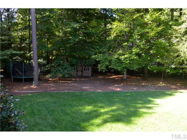 11909 Straight A Way Lane Raleigh, NC 27613 - Photo 22 of 22 Other