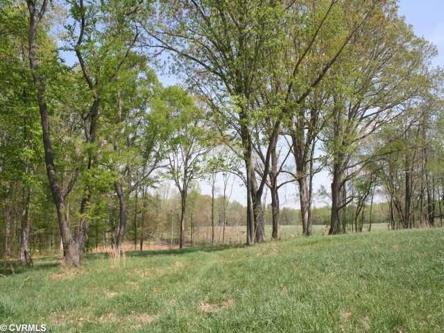 4 Perkins Road Cartersville, VA 23027 - Photo 2 of 6 Land - View of the Old Growth trees