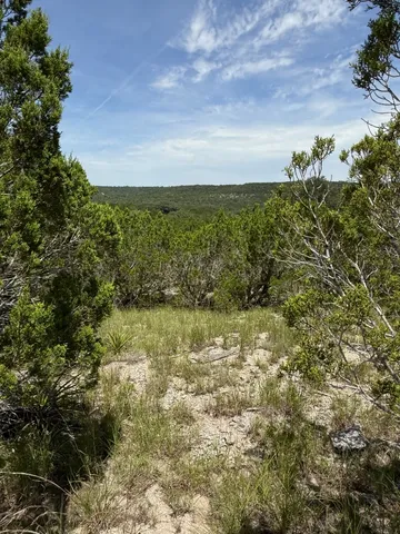 a view of a lake in between two of trees