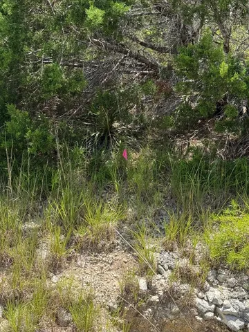 a view of lake with green space