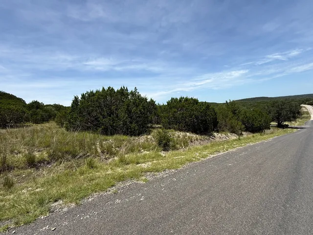 a view of a field of grass and trees