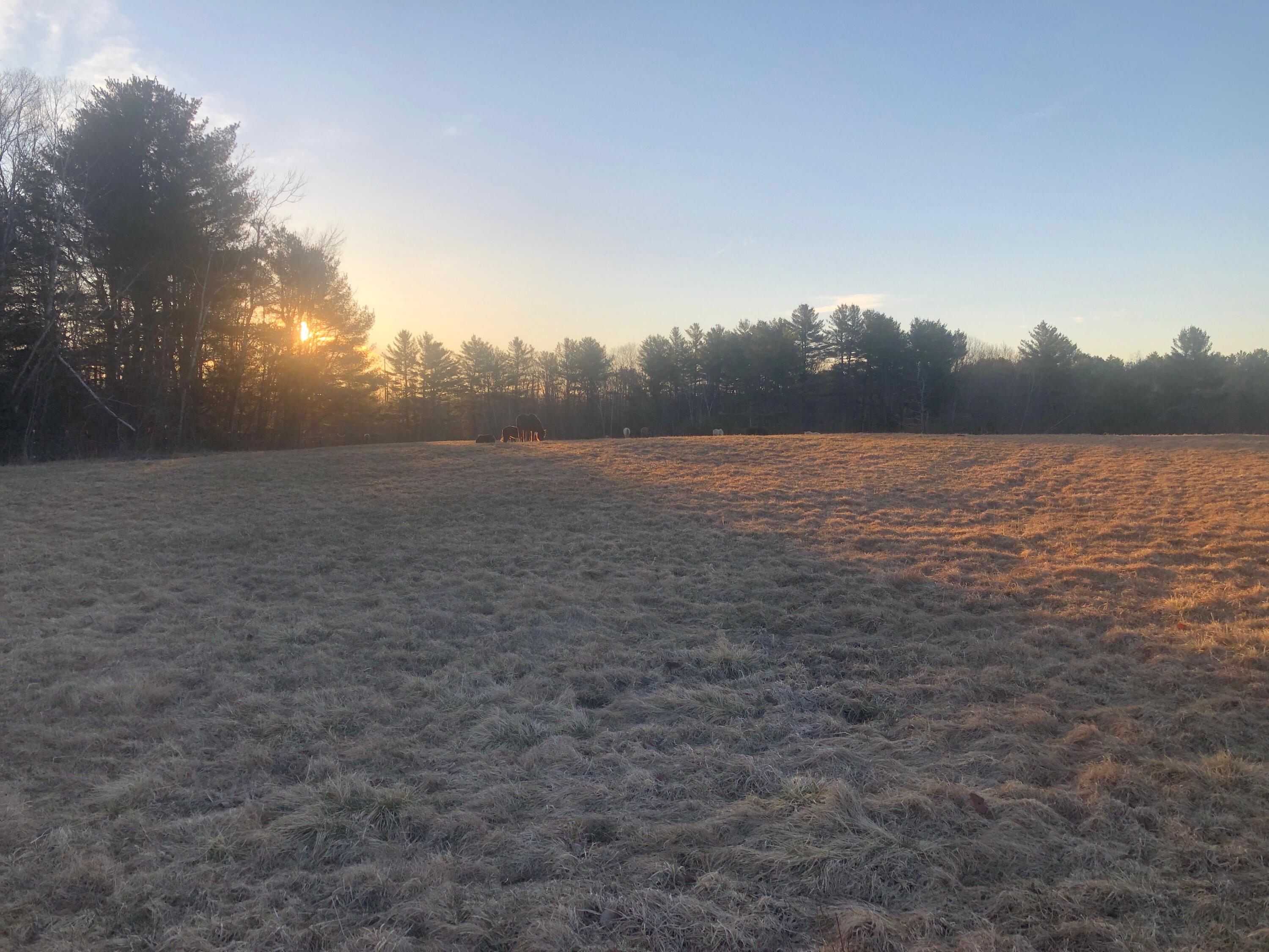 171 Fisher Road Monroe, ME 04951 - Photo 13 of 15 60907054776__F374A034-9001-4912-B4AE-835