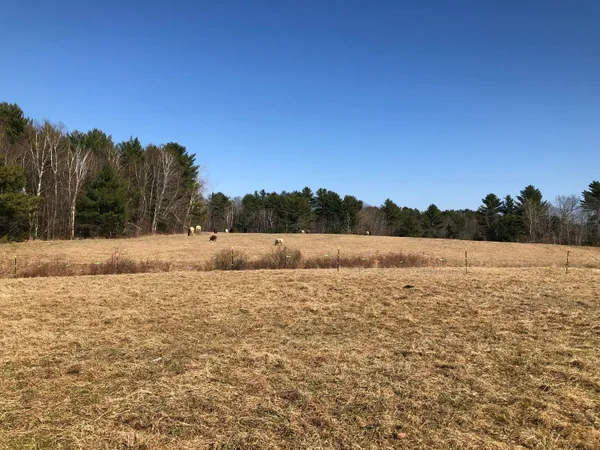 $109,000 | 171 Fisher Road, Monroe, ME 04951