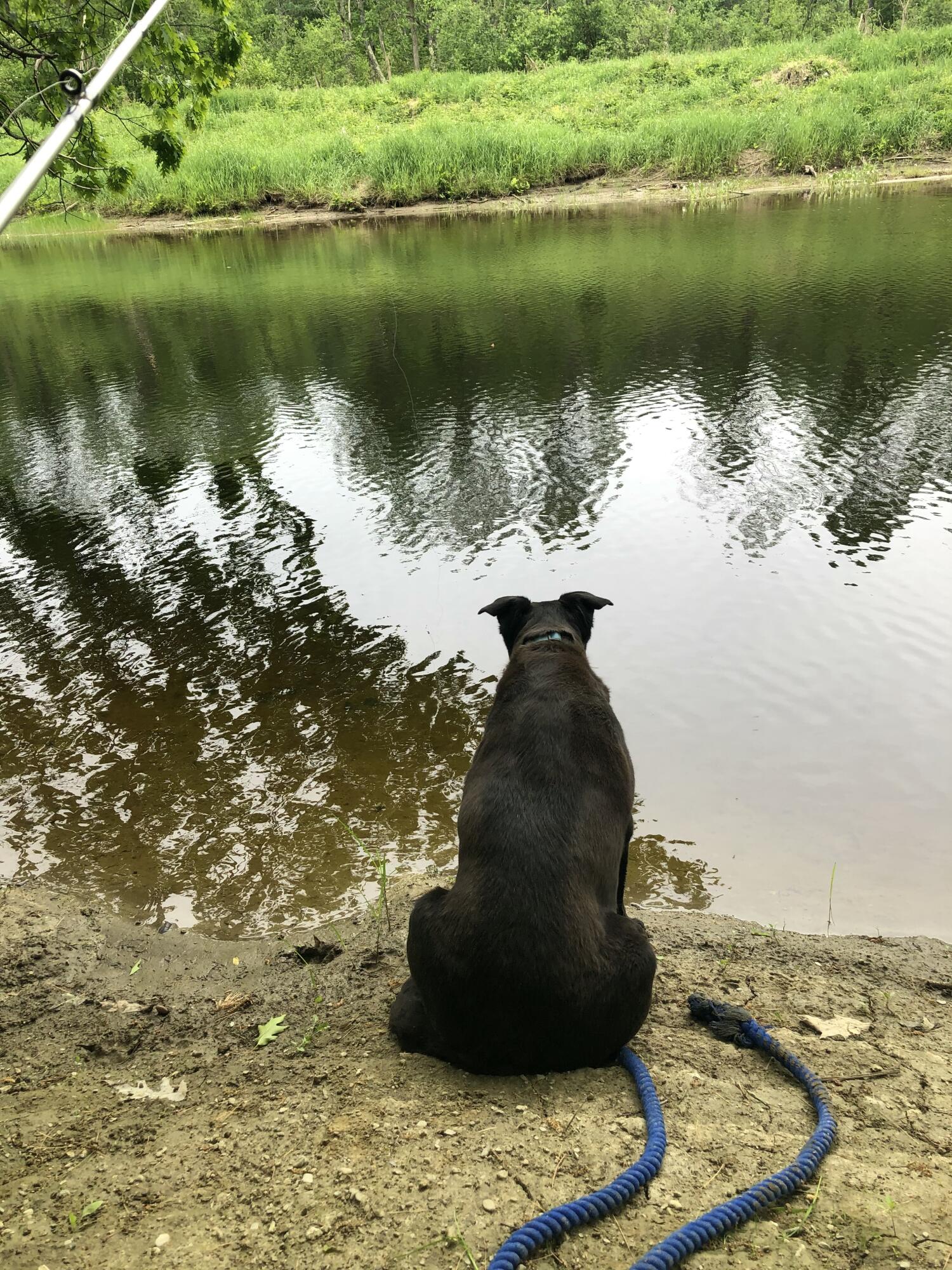 171 Fisher Road Monroe, ME 04951 - Photo 15 of 15 IMG_5807