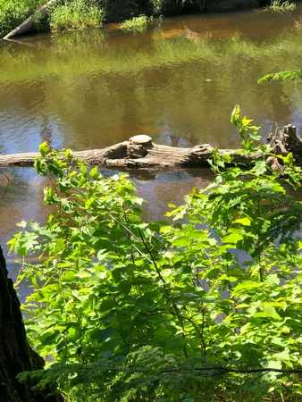 $109,000 | 171 Fisher Road, Monroe, ME 04951