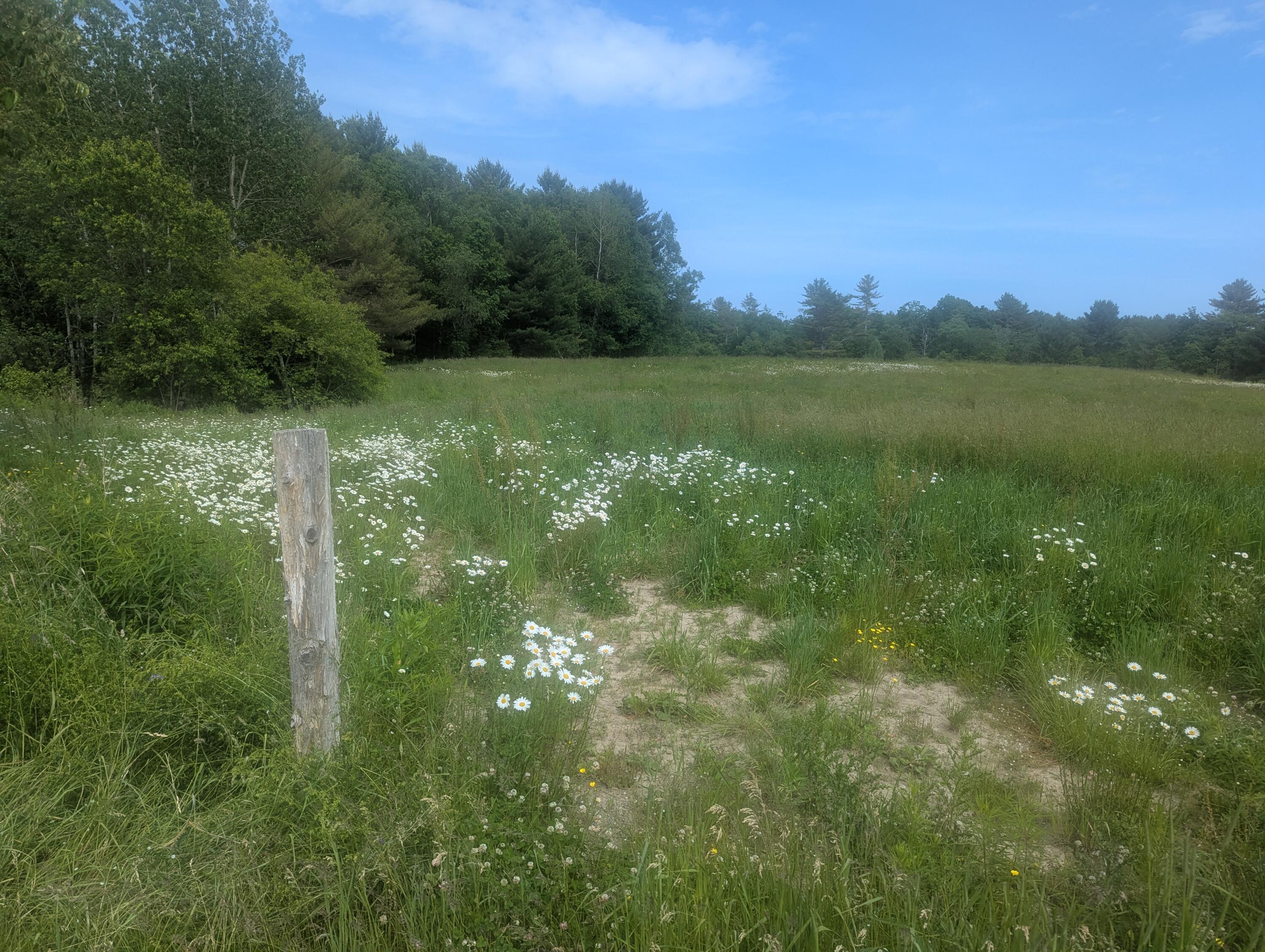 171 Fisher Road Monroe, ME 04951 - Photo 6 of 15 PXL_20250617_192404319