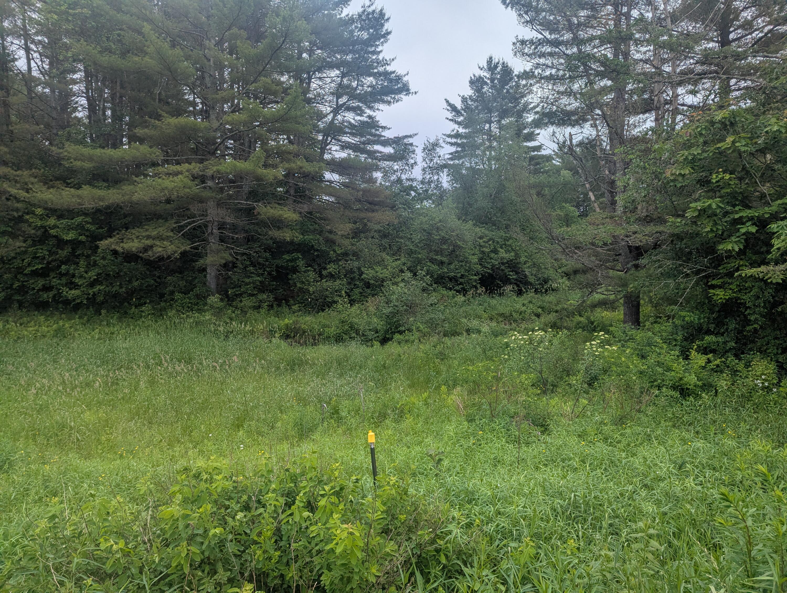 171 Fisher Road Monroe, ME 04951 - Photo 9 of 15 PXL_20250619_151552874