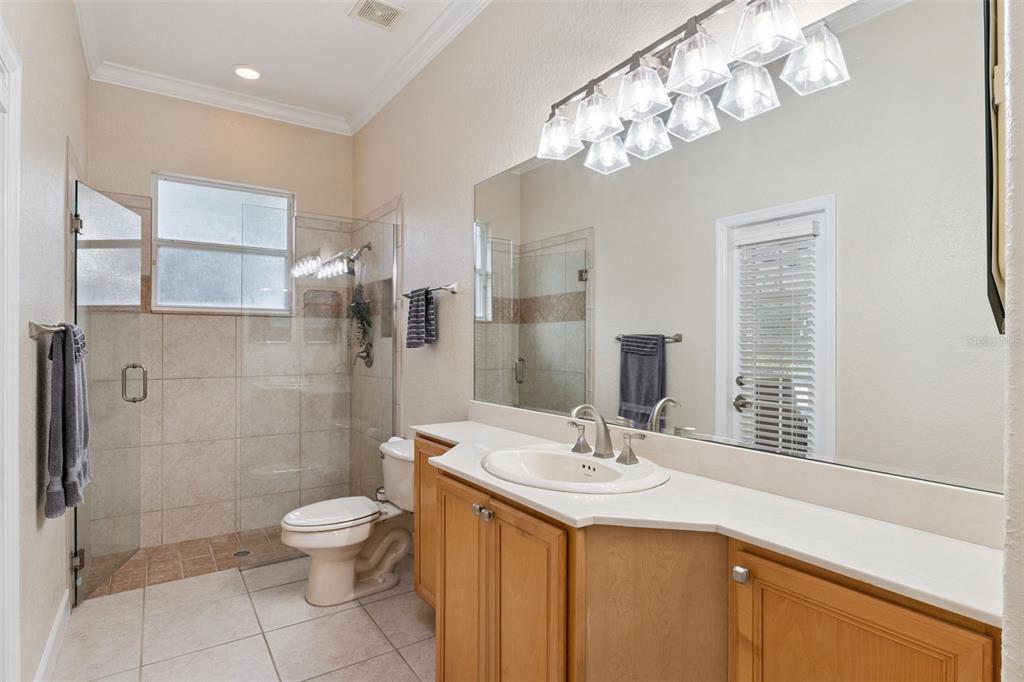 10442 Birch Tree Lane Windermere, FL 34786 - Photo 29 of 69 a bathroom with a sink a toilet and shower