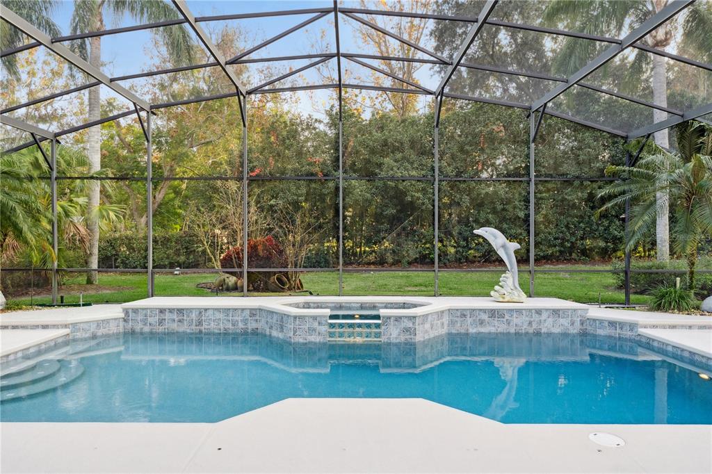 10442 Birch Tree Lane Windermere, FL 34786 - Photo 34 of 69 a view of a swimming pool with a patio