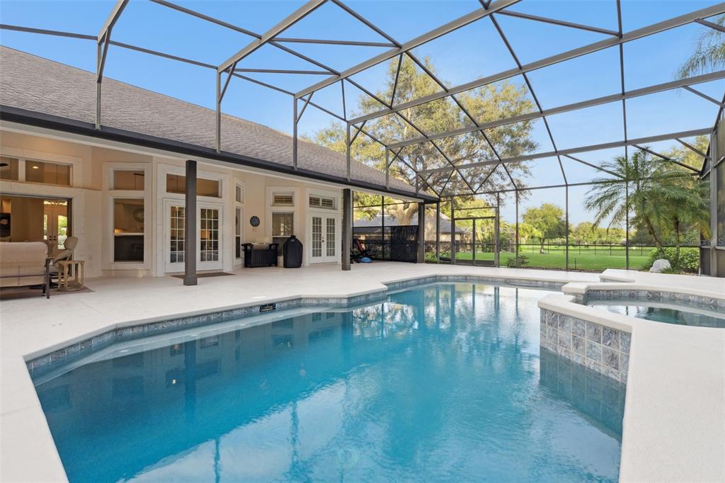 10442 Birch Tree Lane Windermere, FL 34786 - Photo 35 of 69 a view of a swimming pool with a patio