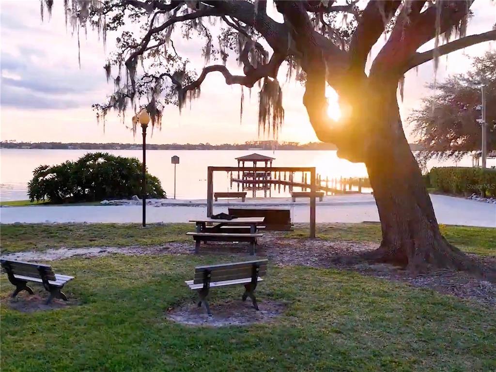10442 Birch Tree Lane Windermere, FL 34786 - Photo 50 of 69 a view of a garden with a bench