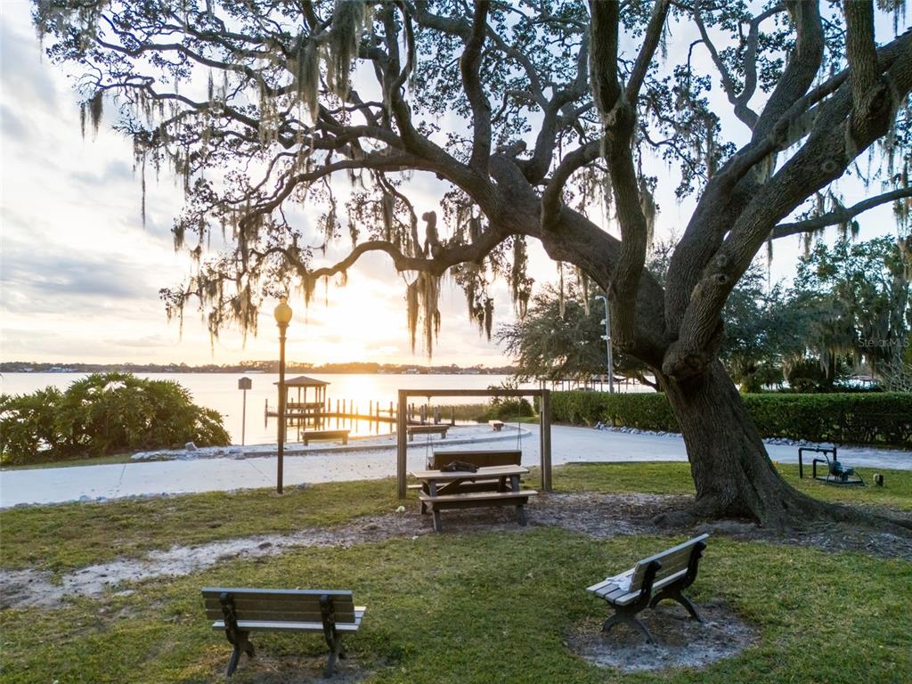 10442 Birch Tree Lane Windermere, FL 34786 - Photo 51 of 69 a view of a park with large trees