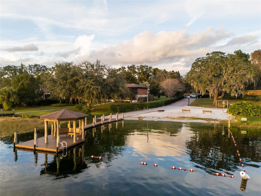 10442 Birch Tree Lane Windermere, FL 34786 - Photo 53 of 69