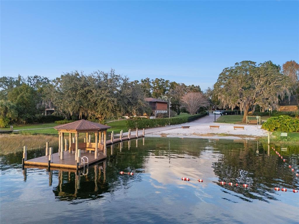 10442 Birch Tree Lane Windermere, FL 34786 - Photo 56 of 69