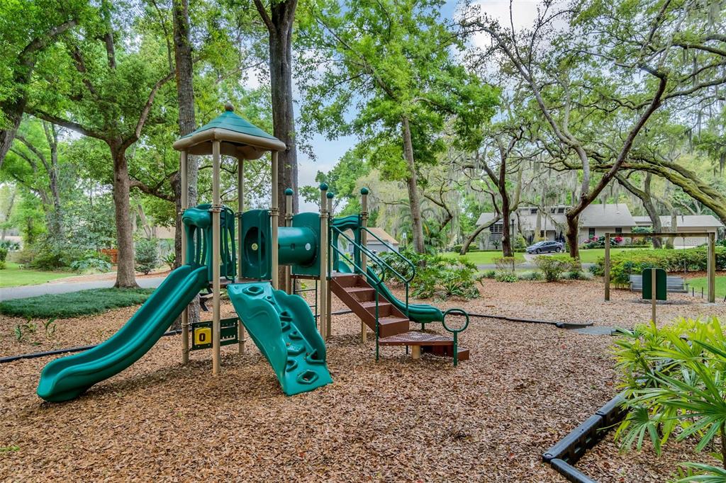 10442 Birch Tree Lane Windermere, FL 34786 - Photo 59 of 69