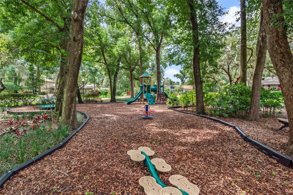 10442 Birch Tree Lane Windermere, FL 34786 - Photo 60 of 69 a view of a park with large trees