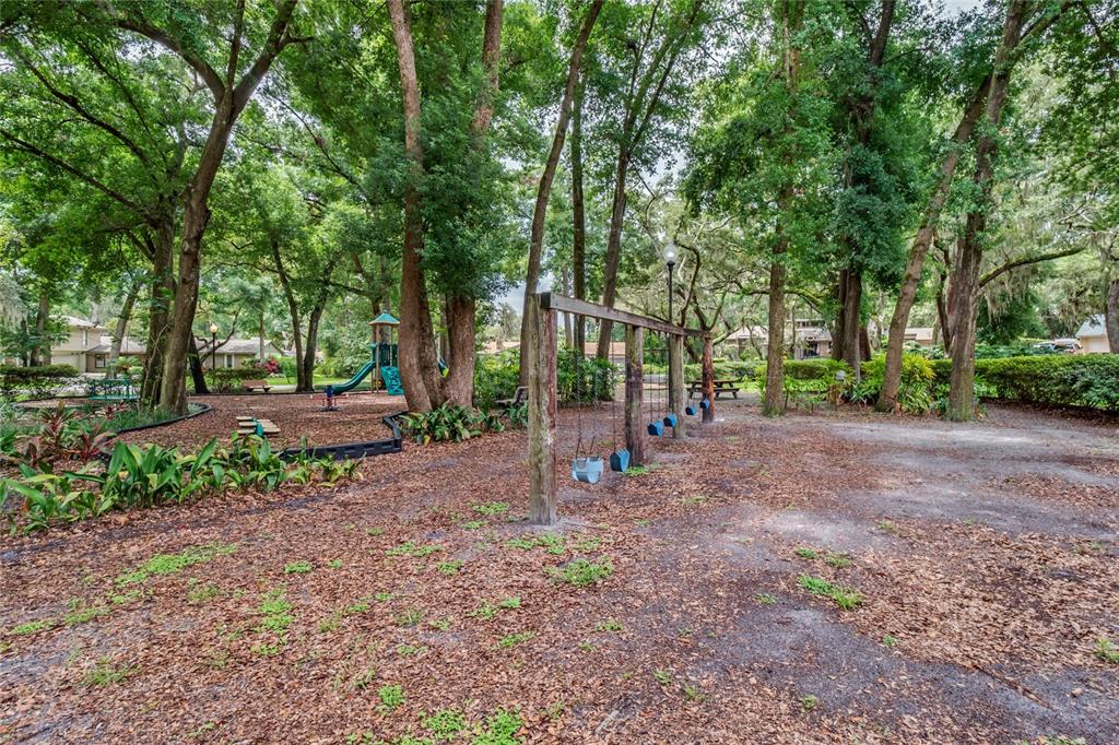 10442 Birch Tree Lane Windermere, FL 34786 - Photo 61 of 69