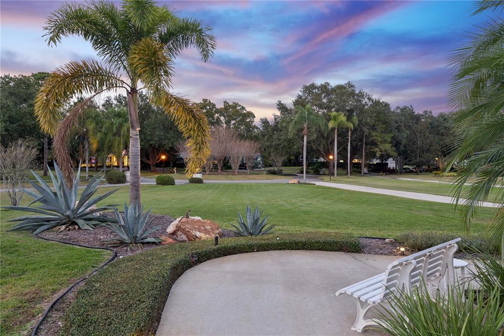 10442 Birch Tree Lane Windermere, FL 34786 - Photo 66 of 69