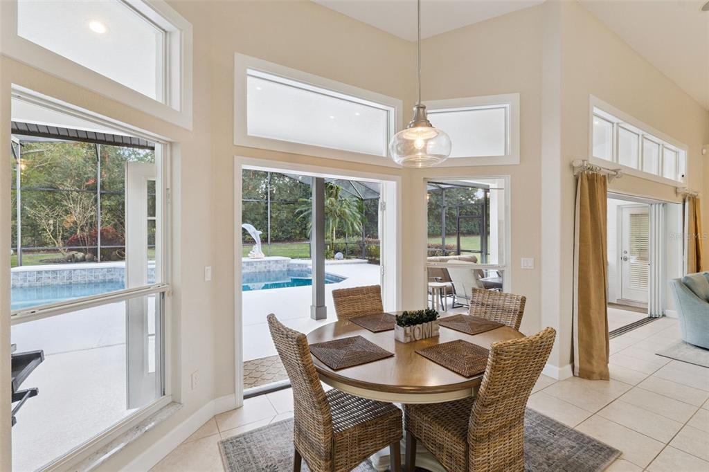 10442 Birch Tree Lane Windermere, FL 34786 - Photo 10 of 69 a dining room with furniture large windows and a chandelier