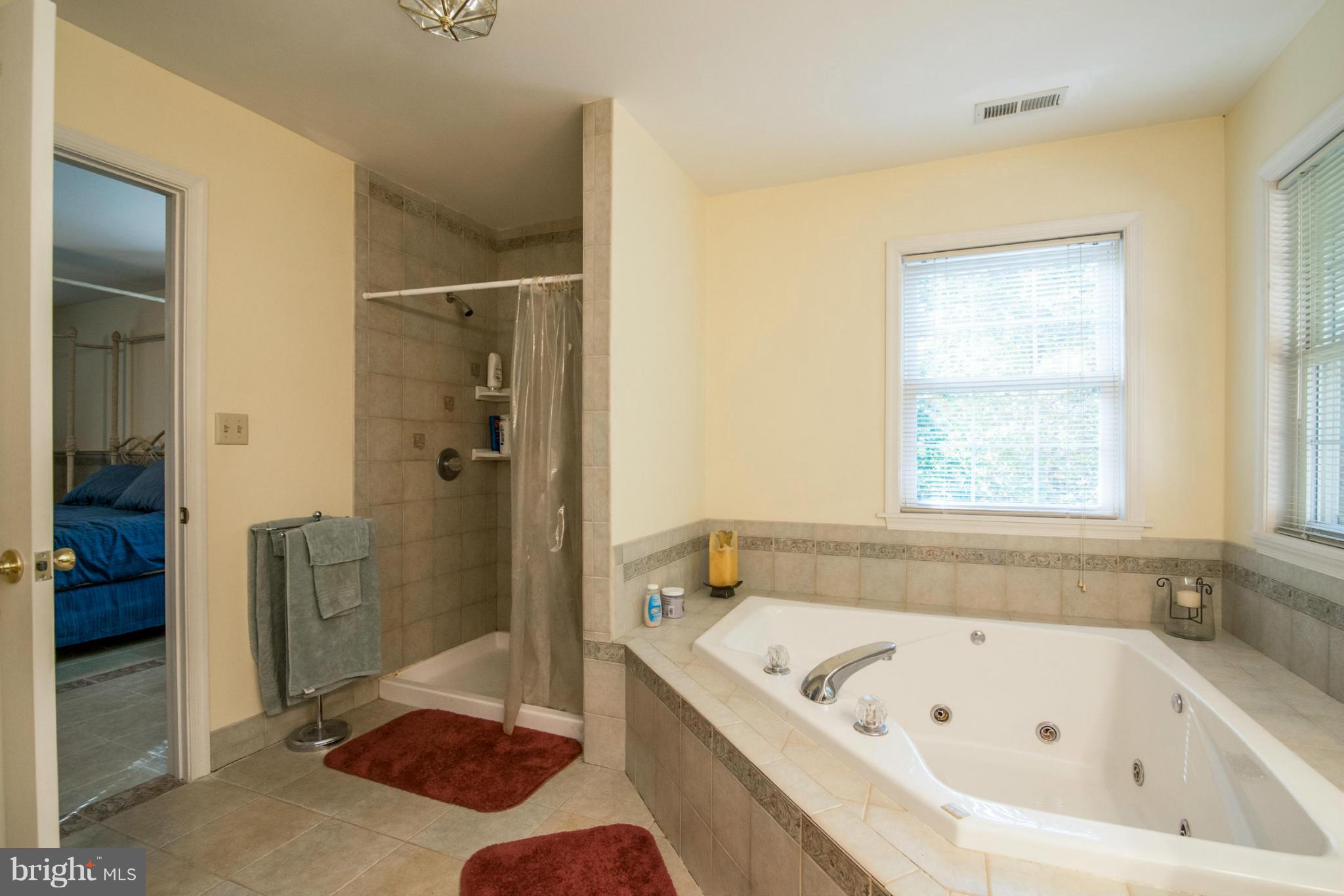 9839 Woodsboro Road Frederick, MD 21701 - Photo 19 of 29 Bath (Master)