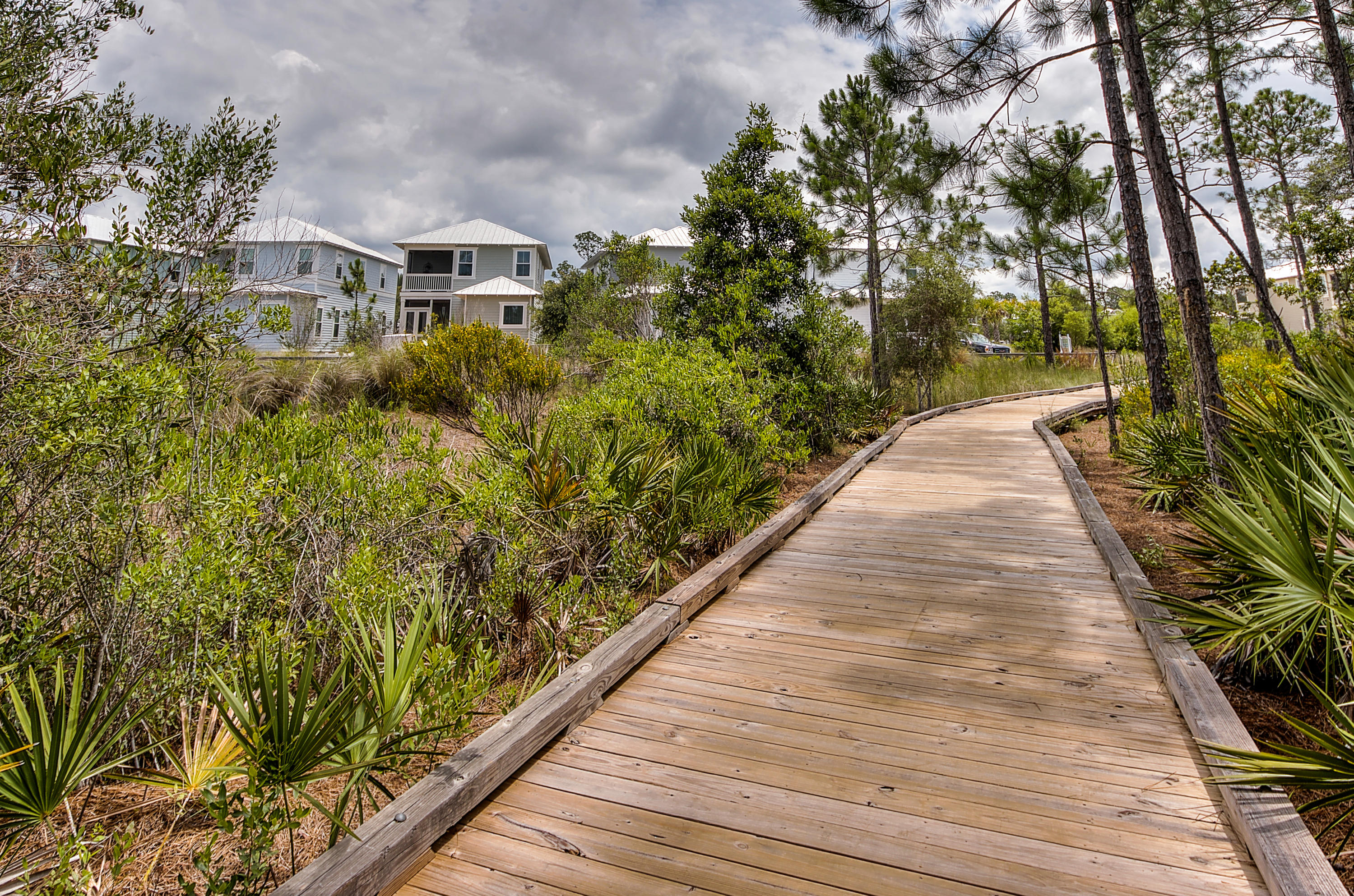 334 Flatwoods Forest Loop Santa Rosa Beach, FL 32459 - Photo 6 of 18 Gallery Image 6