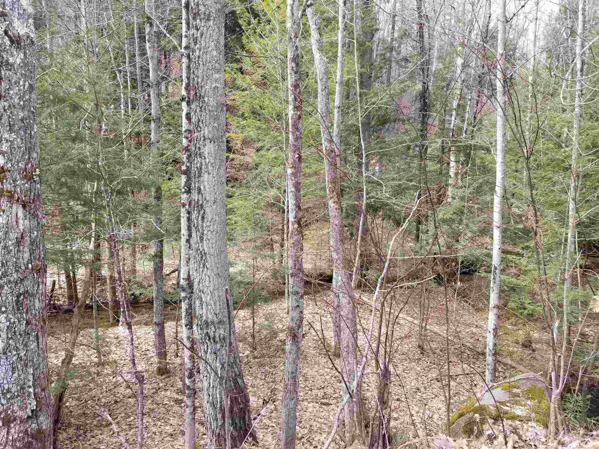 100 Lovell Mountain Road Washington, NH 03280 - Photo 3 of 23