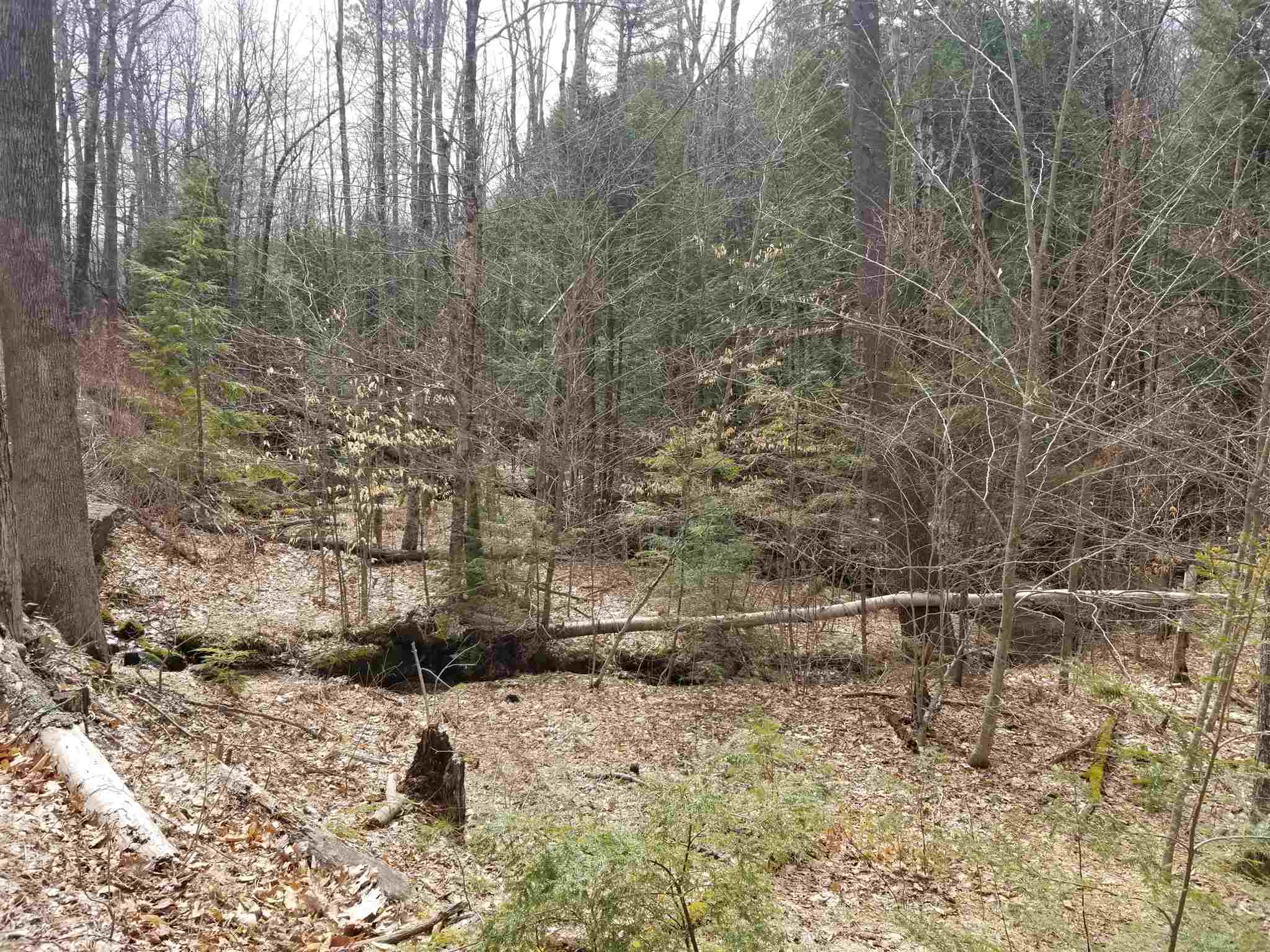 100 Lovell Mountain Road Washington, NH 03280 - Photo 22 of 23