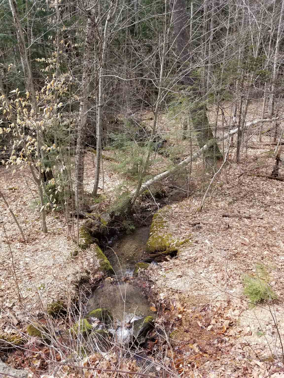 100 Lovell Mountain Road Washington, NH 03280 - Photo 8 of 23