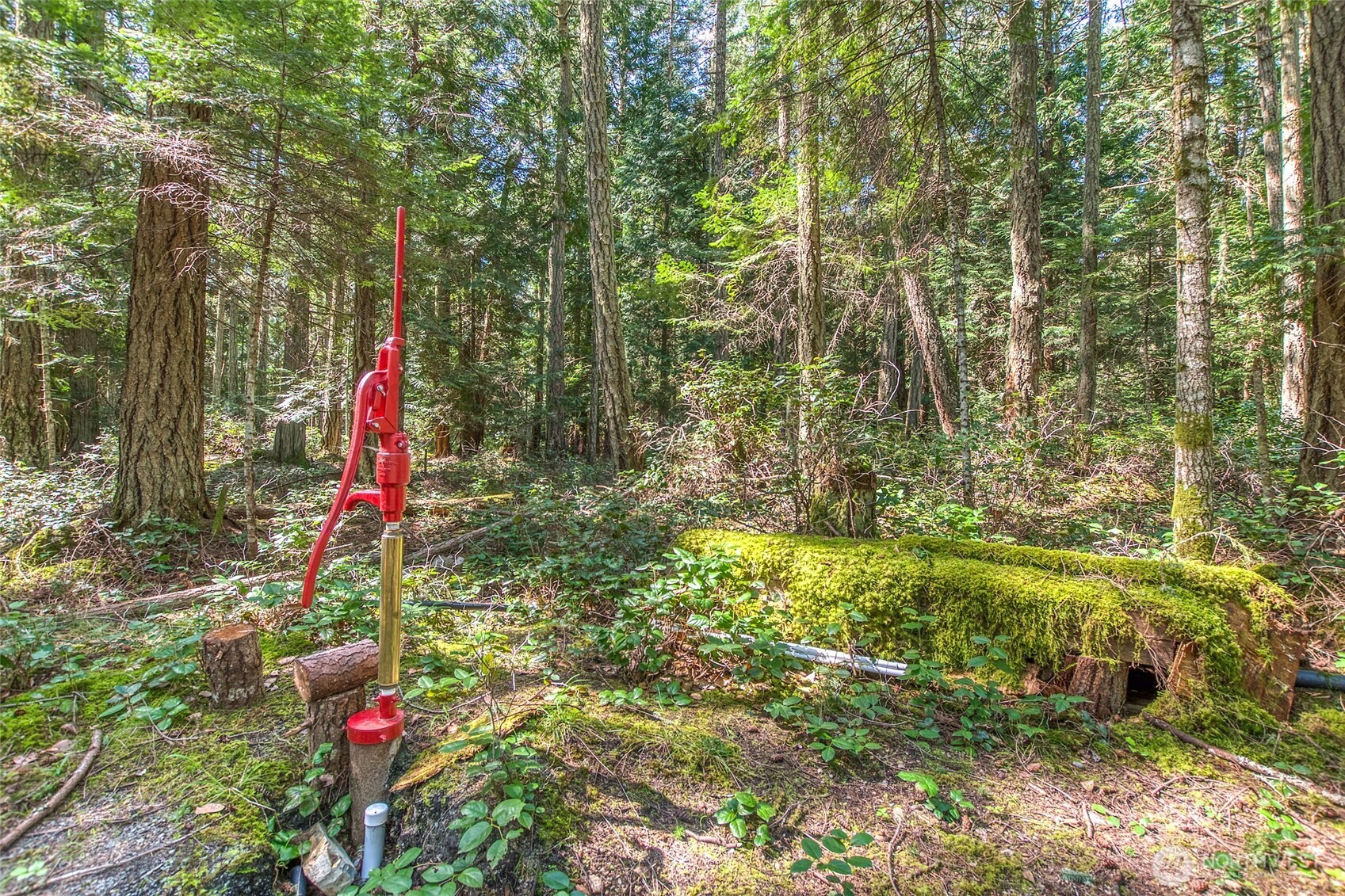 0 Tibbs Road Shaw Island, WA 98286 - Photo 27 of 36 Gallery Image 27