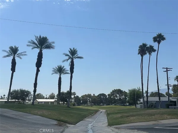 a view of a park and trees