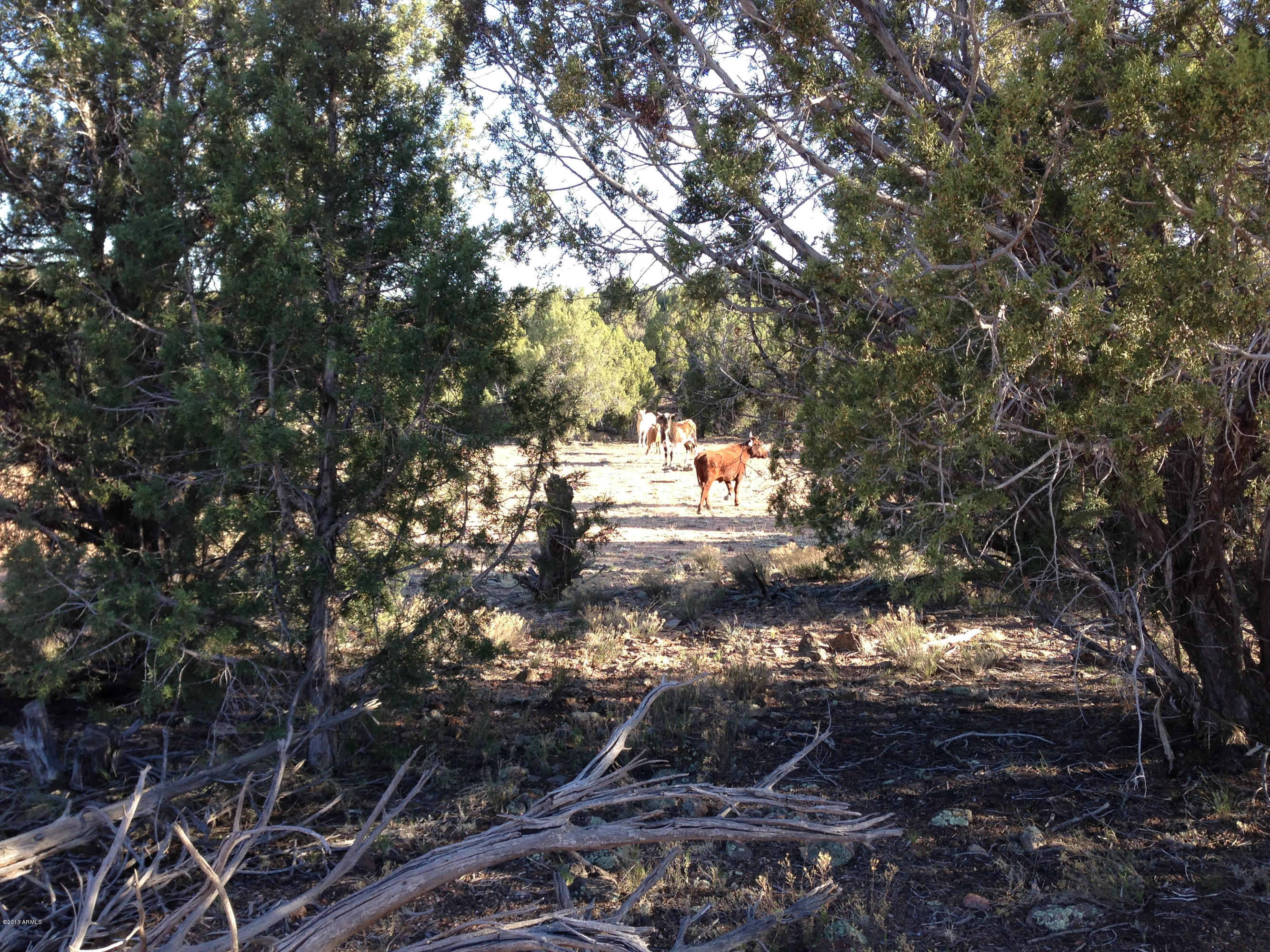 Xxx Xxx Willows Ranch Road, Unit 35 Kingman, AZ 86401 - Photo 12 of 12 IMG_2764