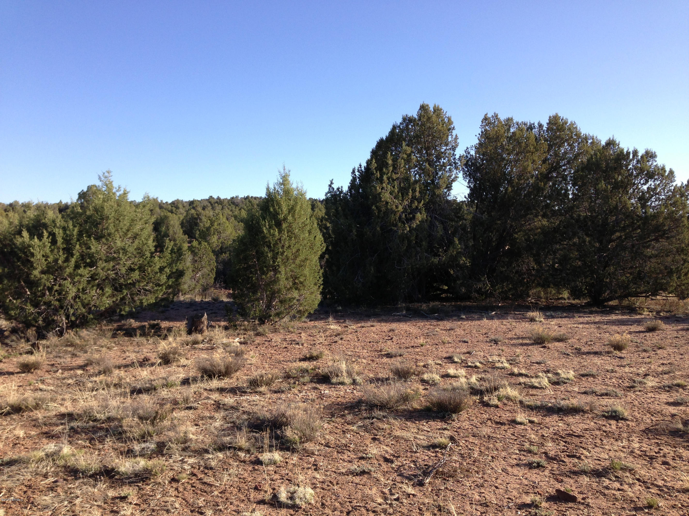 Xxx Xxx Willows Ranch Road, Unit 35 Kingman, AZ 86401 - Photo 10 of 12 IMG_2762