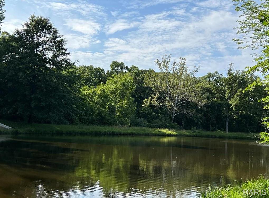 0 Tract 10 &11 Cemetery/barber Road Freeburg, IL 62243 - Photo 20 of 28