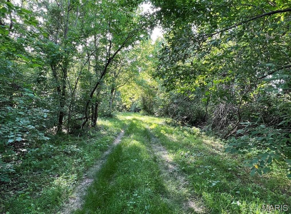 0 Tract 10 &11 Cemetery/barber Road Freeburg, IL 62243 - Photo 5 of 28