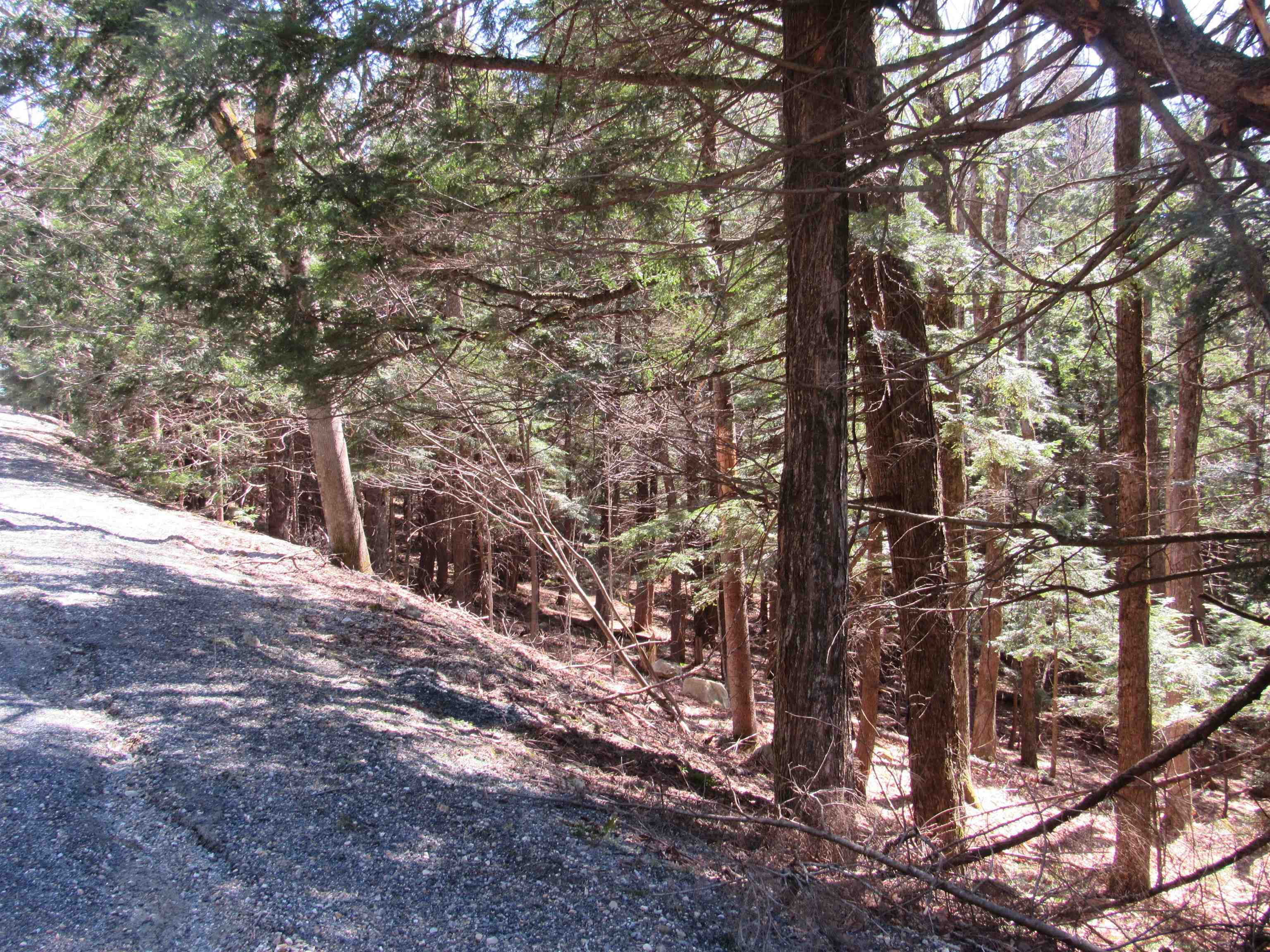 0 Stratton View Road, Unit 59 Winhall, VT 05340 - Photo 2 of 8