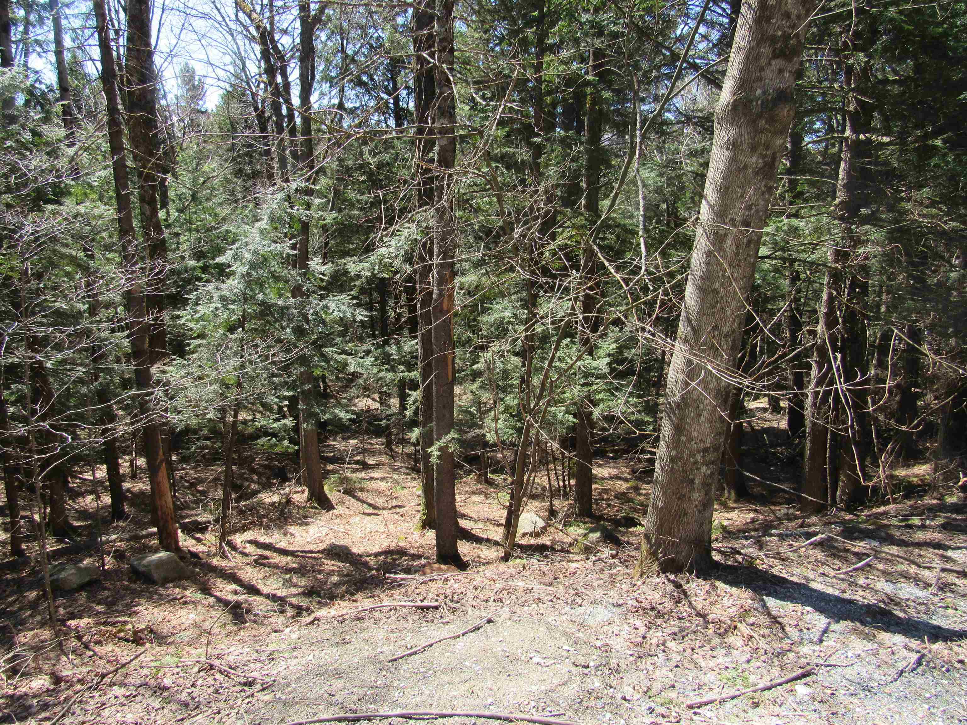 0 Stratton View Road, Unit 59 Winhall, VT 05340 - Photo 5 of 8