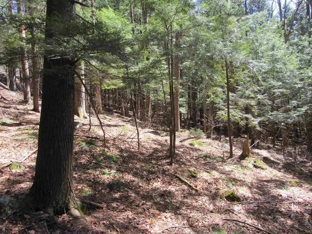 $65,000 | 0 Stratton View Road, Unit 59, Winhall, VT 05340