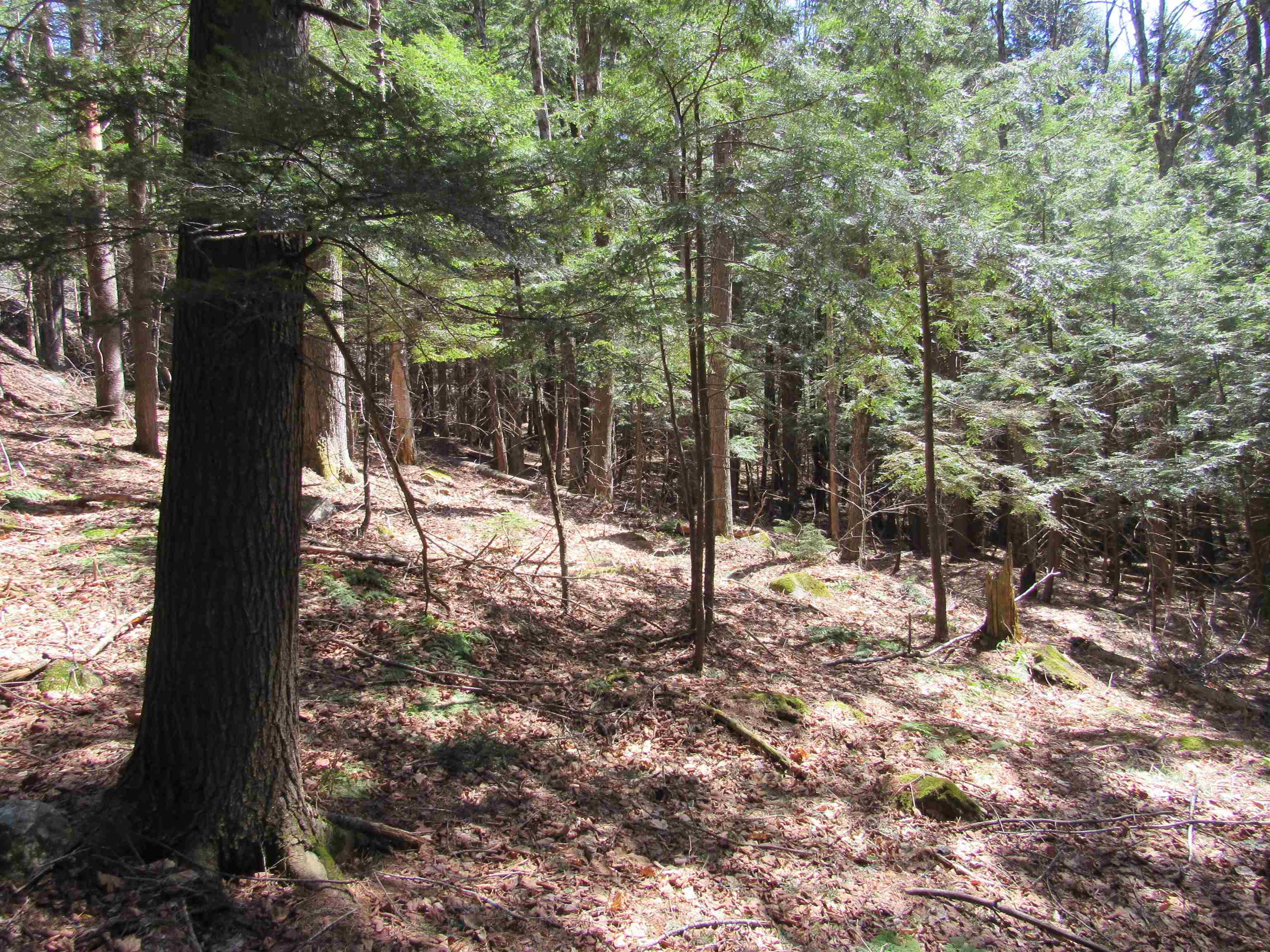 0 Stratton View Road, Unit 59 Winhall, VT 05340 - Photo 7 of 8