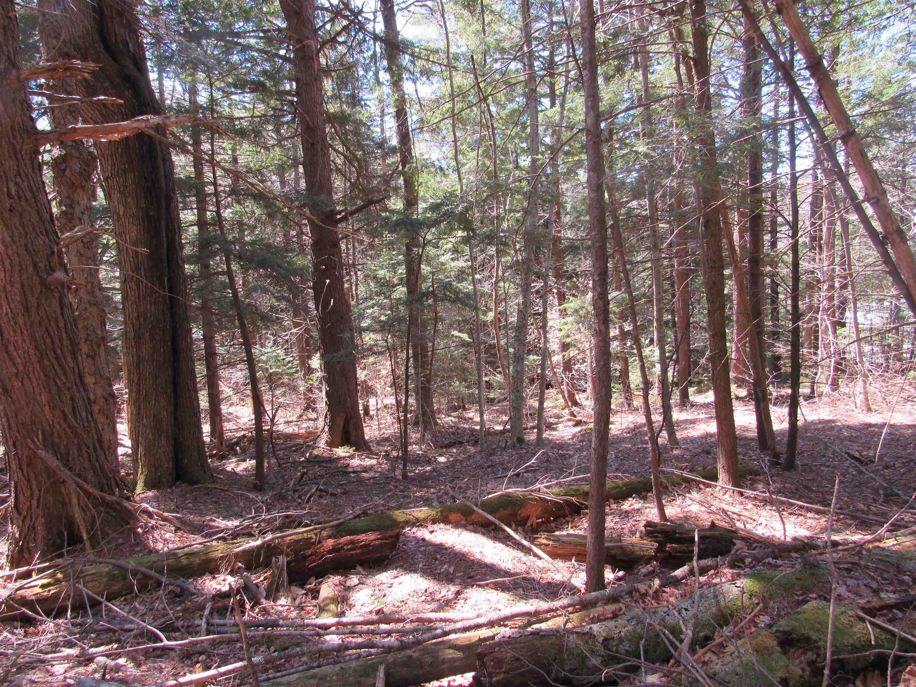 0 Stratton View Road, Unit 59 Winhall, VT 05340 - Photo 8 of 8