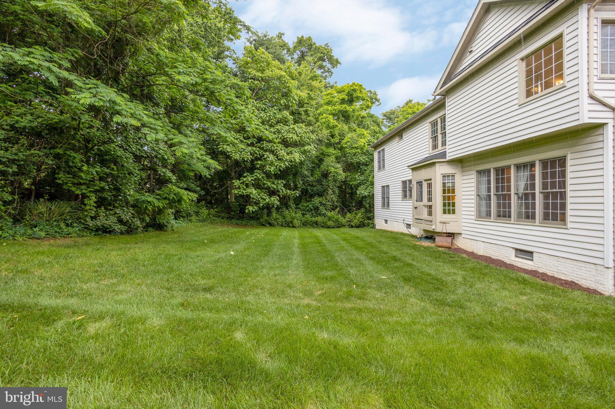 5658 Clouds Mill Drive Alexandria, VA 22310 - Photo 62 of 68 Trees galore