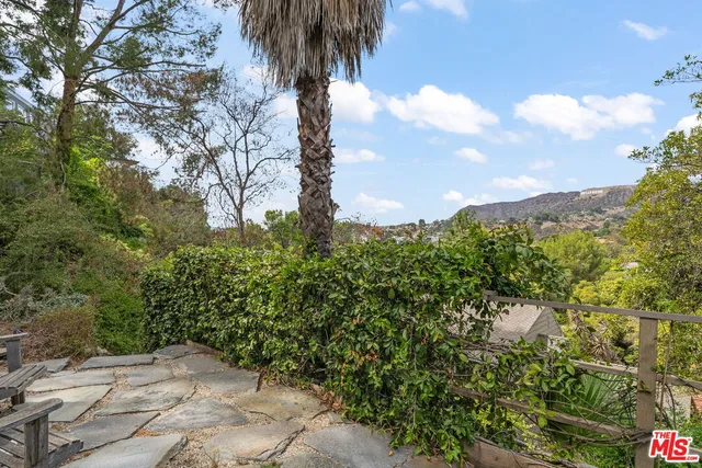 a view of a garden with a tree