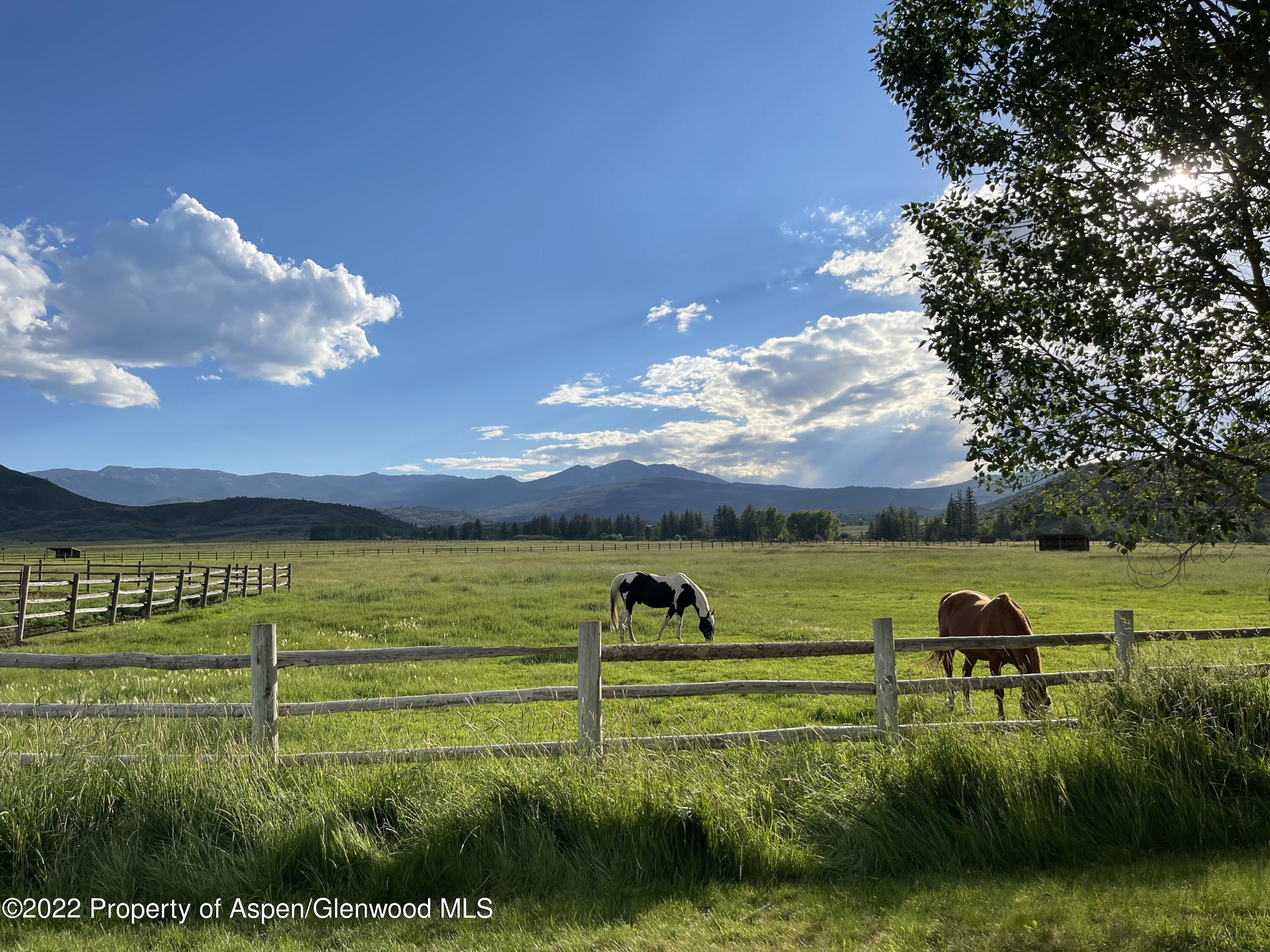 2222 Lazy O Road Snowmass, CO 81654 - Photo 2 of 21 Bring your horses!