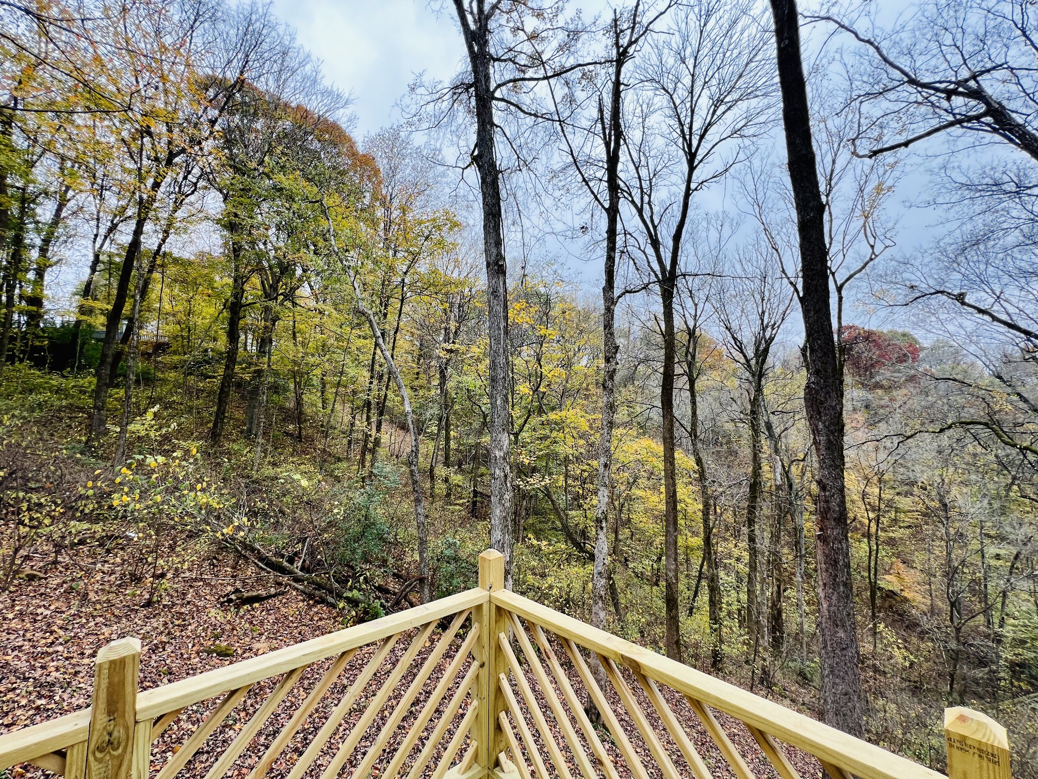884 High Point Ridge Road Franklin, TN 37069 - Photo 52 of 67 a view of a yard from a balcony